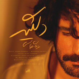 دانلود آهنگ عرفان طهماسبی دلگیر عرفان طهماسبی دلگیر