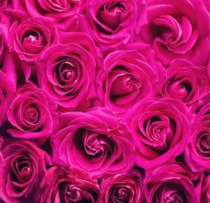 زندگی قشنگه