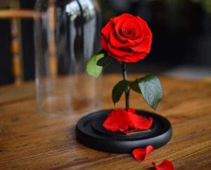 بخند به روی دنیا