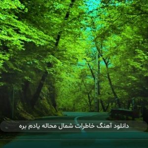 خاطرات شمال