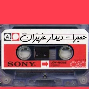 دیدار عزیزان