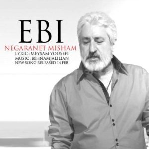 ابی نگرانت میشم