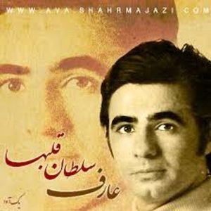 عارف سلطان قلبها