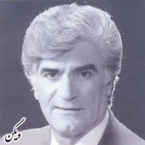 ویگن مرغ طوفان