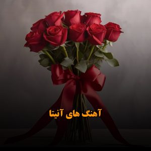 آهنگ های آنیتا