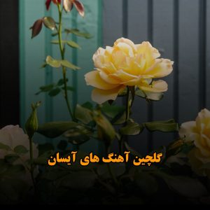 گلچین آهنگ های آیسان