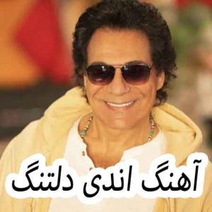 اندی دلتنگ