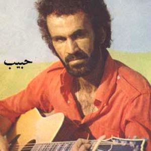 حبیب شب جدایی