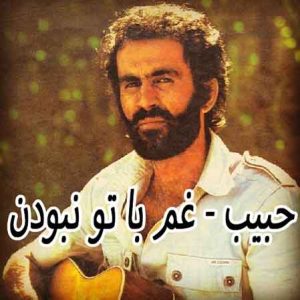 حبیب غم با تو بودن