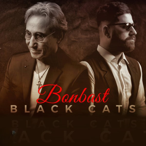 بلک کتس بن‌ بست