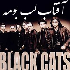 کامران هومن آفتاب