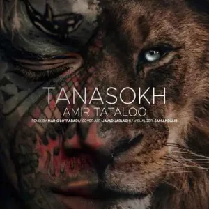 ریمیکس امیر تتلو تناسخ