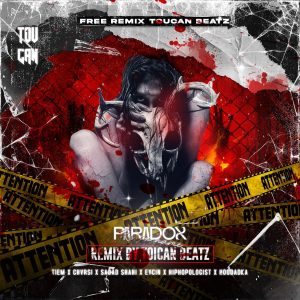 ریمیکس پارادوکس