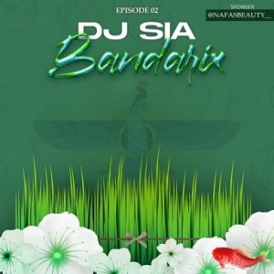 دیجی سیا بندریکس