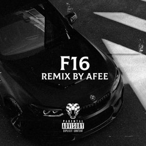 ریمیکس اف 16