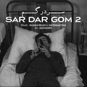 ریمیکس سردرگم 2