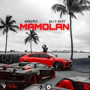 ریمیکس معمولا