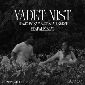 ریمیکس یادت نیست