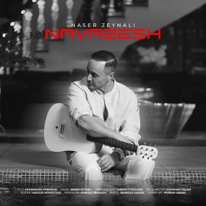 ناصر زینعلی نوازش