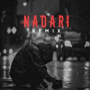 ریمیکس نداری