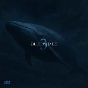 ریمیکس سی بام نهنگ آبی 3