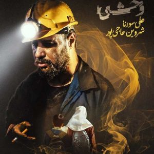 ریمیکس شروین و علی سورنا وحشی