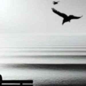 دانلود ریمیکس خدا هم علاج منه غمگین نمکه ریمیکس خدا هم علاج منه غمگین نمکه