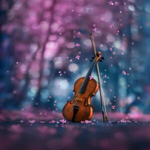 ریمیکس مویه