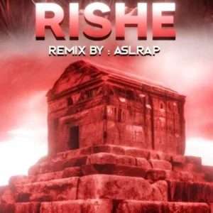 ریمیکس ریشه