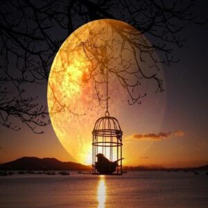 دانلود ریمیکس باور ریمیکس باور