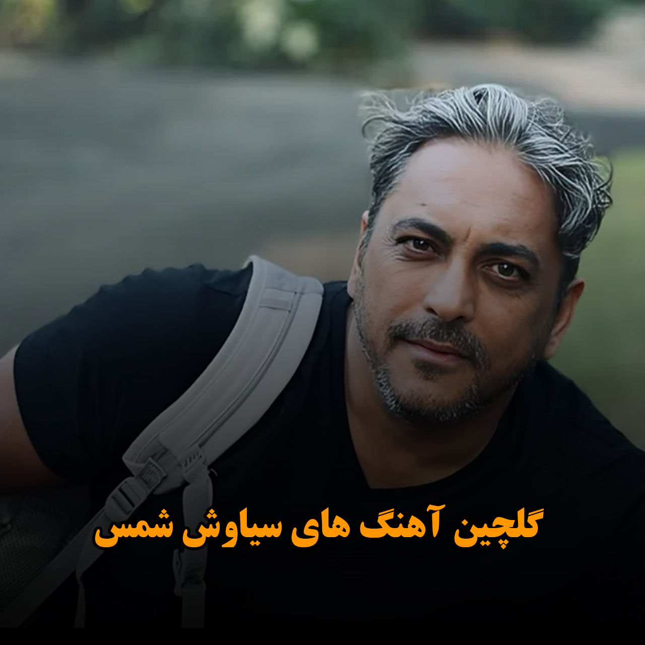 گلچین آهنگ های سیاوش شمس