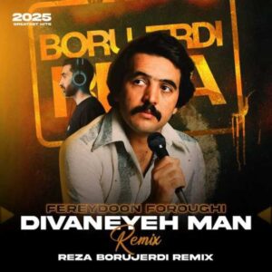 ریمیکس دیوانه ی من