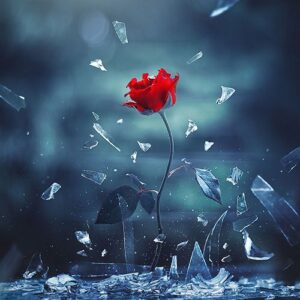 ترکی بویلانا بویلانا ترند اینستاگرام