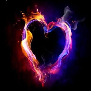 دنیا دادرسان لیت نایت