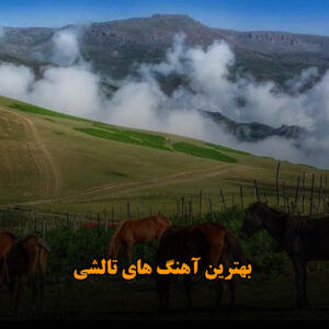دانلود بهترین آهنگ های تالشی بهترین آهنگ های تالشی