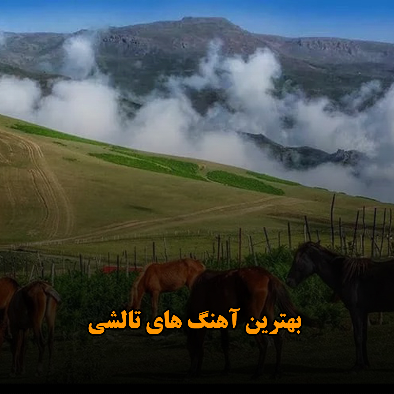 بهترین آهنگ های تالشی