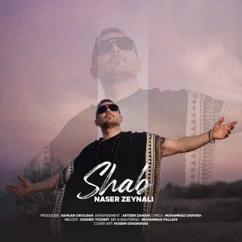 ناصر زینعلی شب