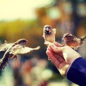 ریمیکس عشق آخر