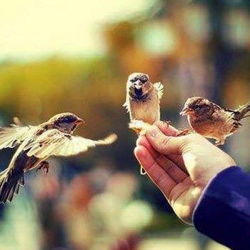 ریمیکس عشق آخر از تتلو و مسلک و تی ام و سیا