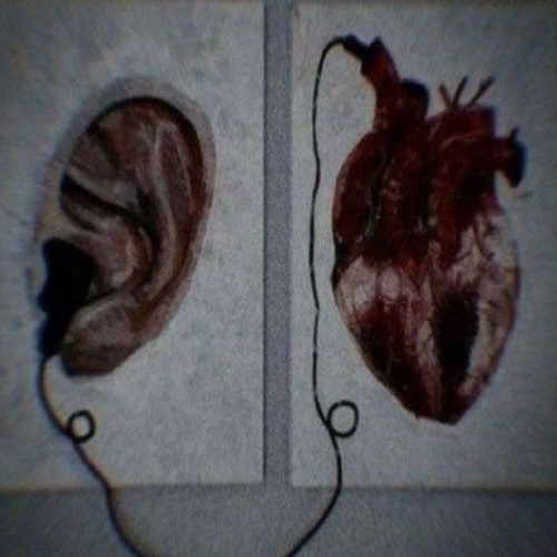 رز مرده 4 از ویناک و تی جی و پیدار و پوتک و دورچی