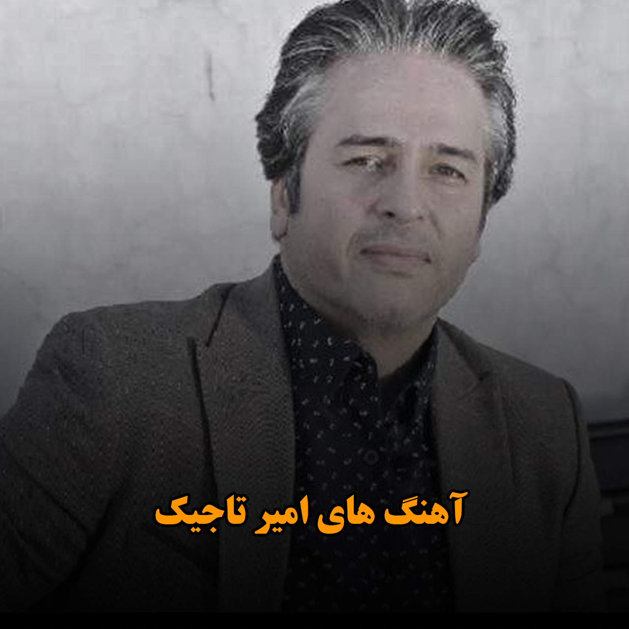 آهنگ های امیر تاجیک