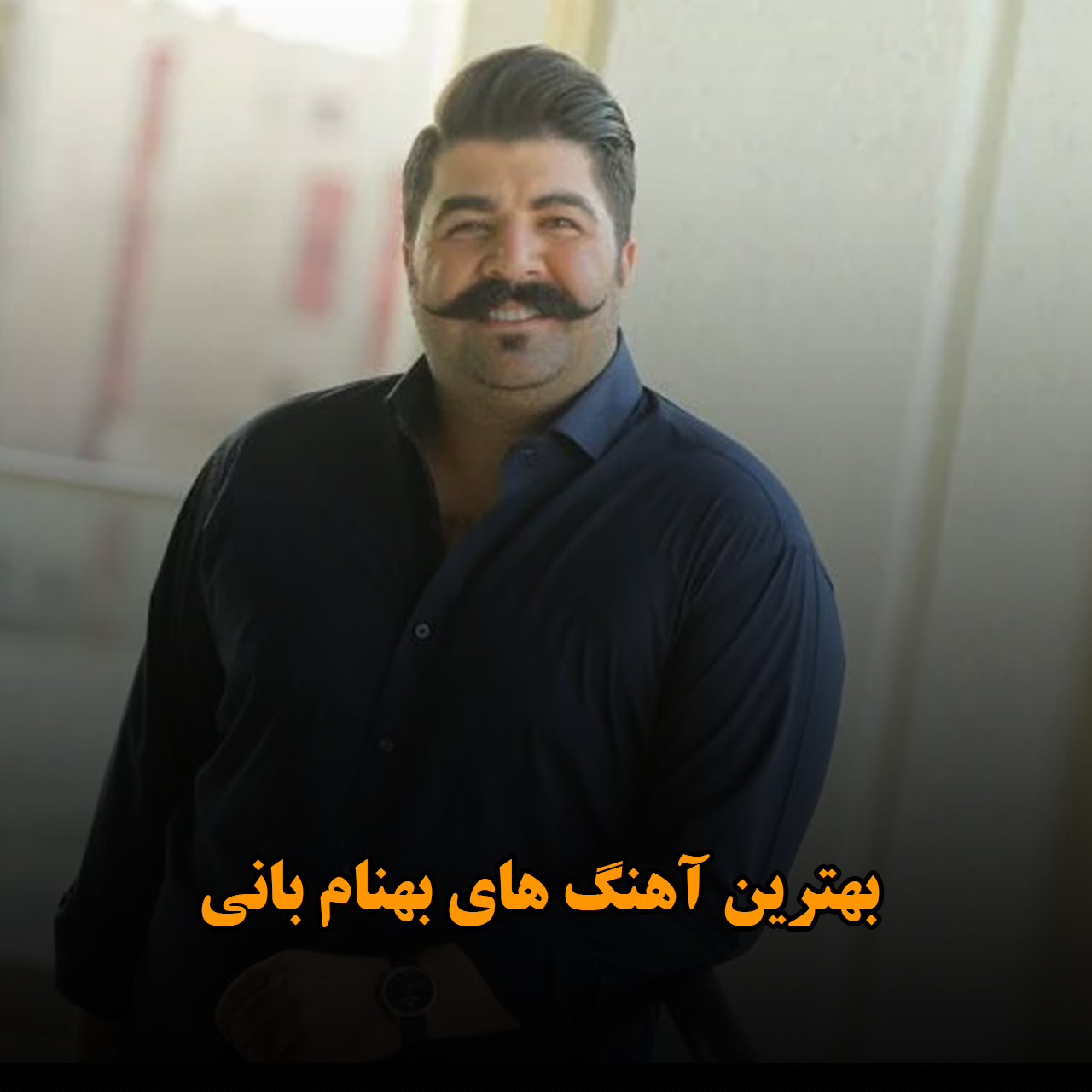 بهترین آهنگ های بهنام بانی