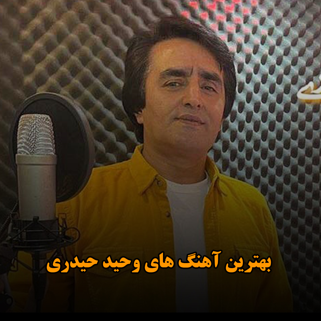 بهترین آهنگ های وحید حیدری