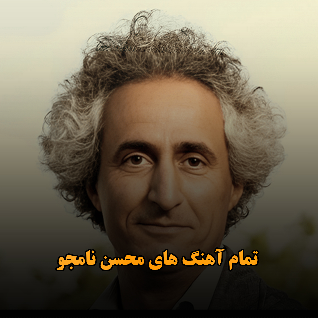 تمام آهنگ های محسن نامجو