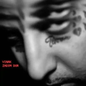 ویناک زدیم دور