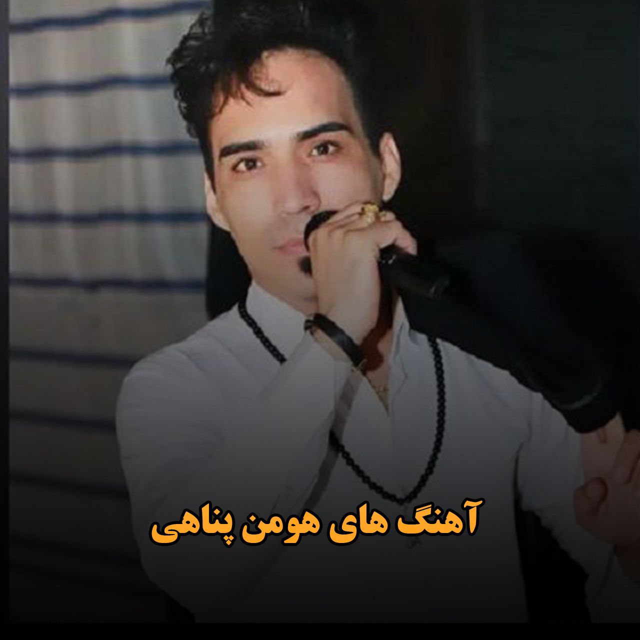 آهنگ های هومن پناهی