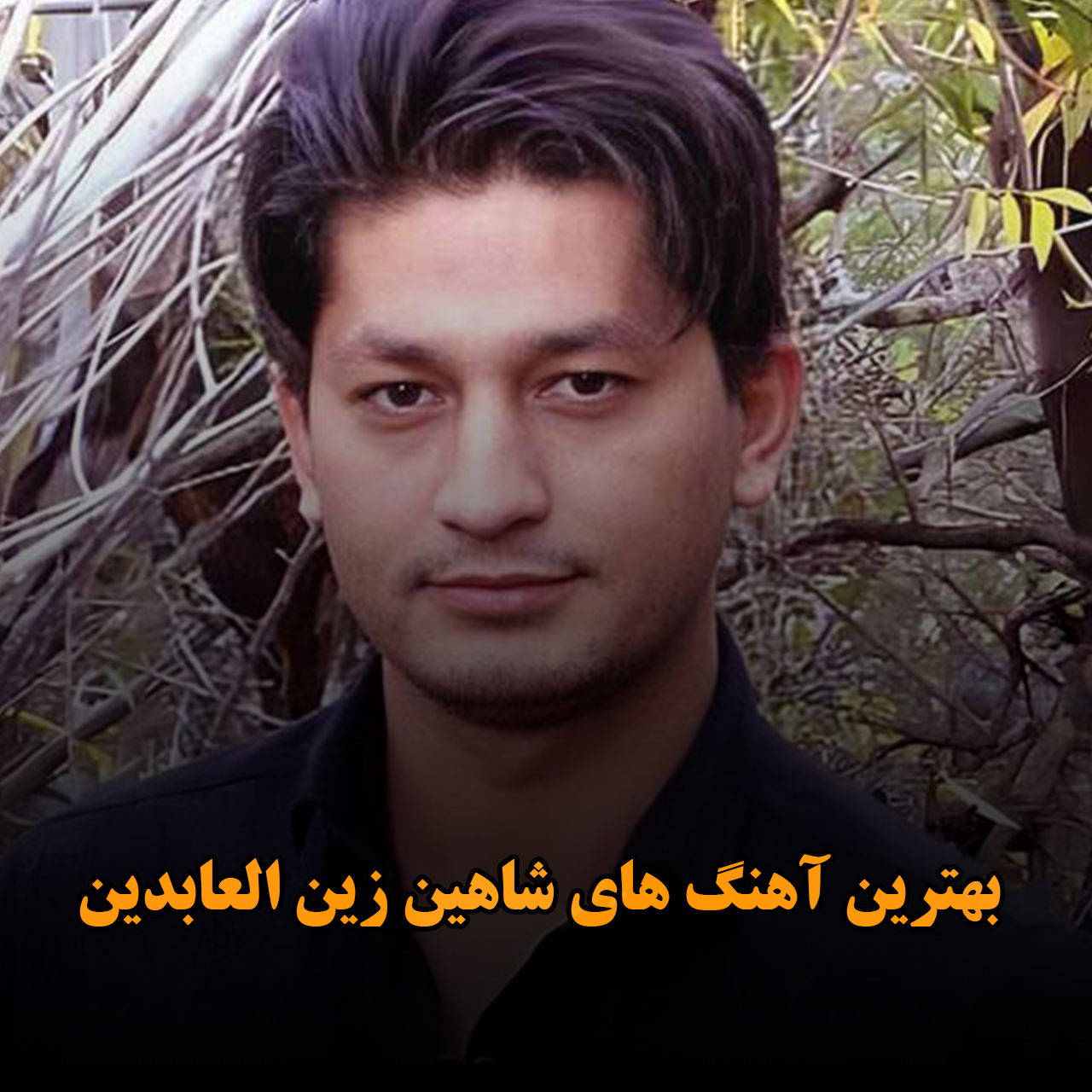 بهترین آهنگ های شاهین زین العابدین