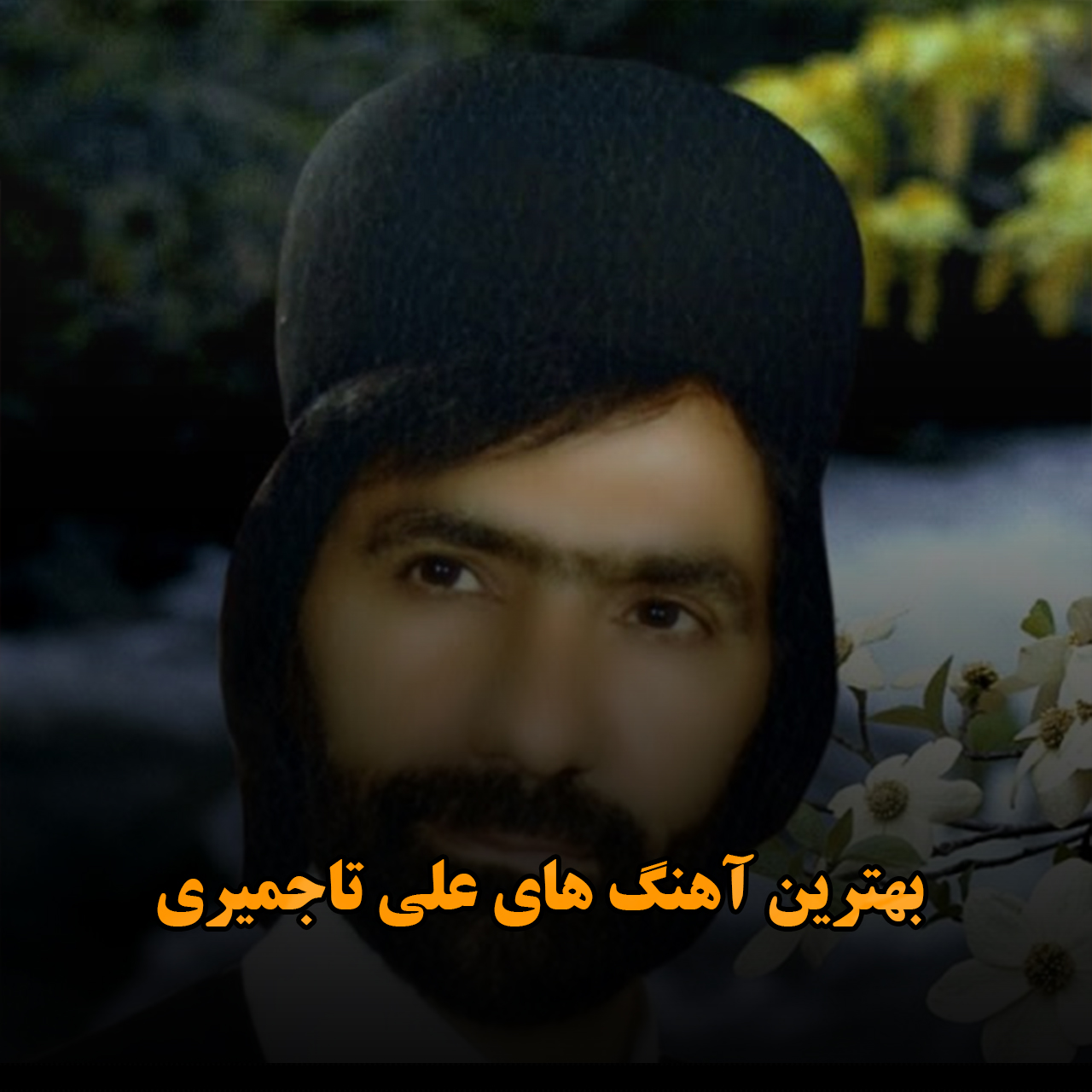 بهترین آهنگ های علی تاجمیری