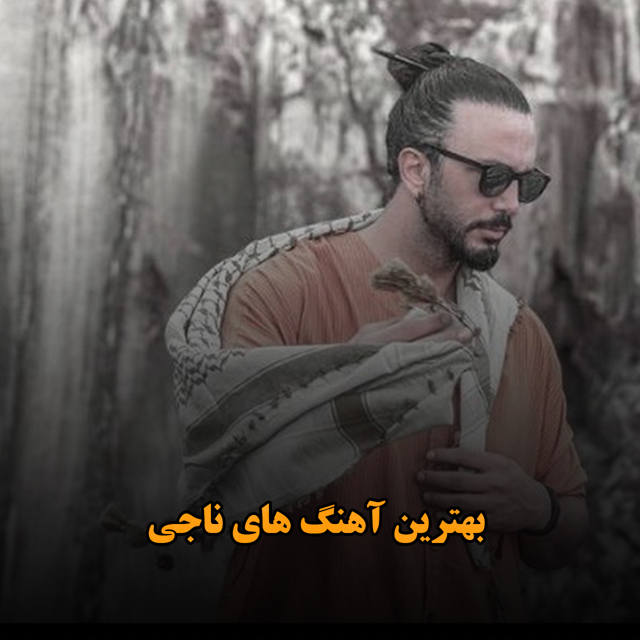 بهترین آهنگ های ناجی