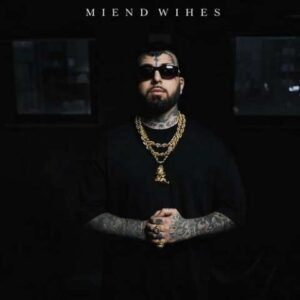 ویناک کم نمیاد